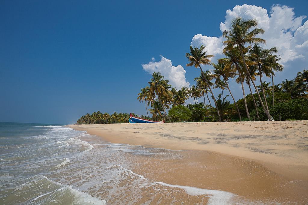 Villa Marari - Private Pool Mararikulam